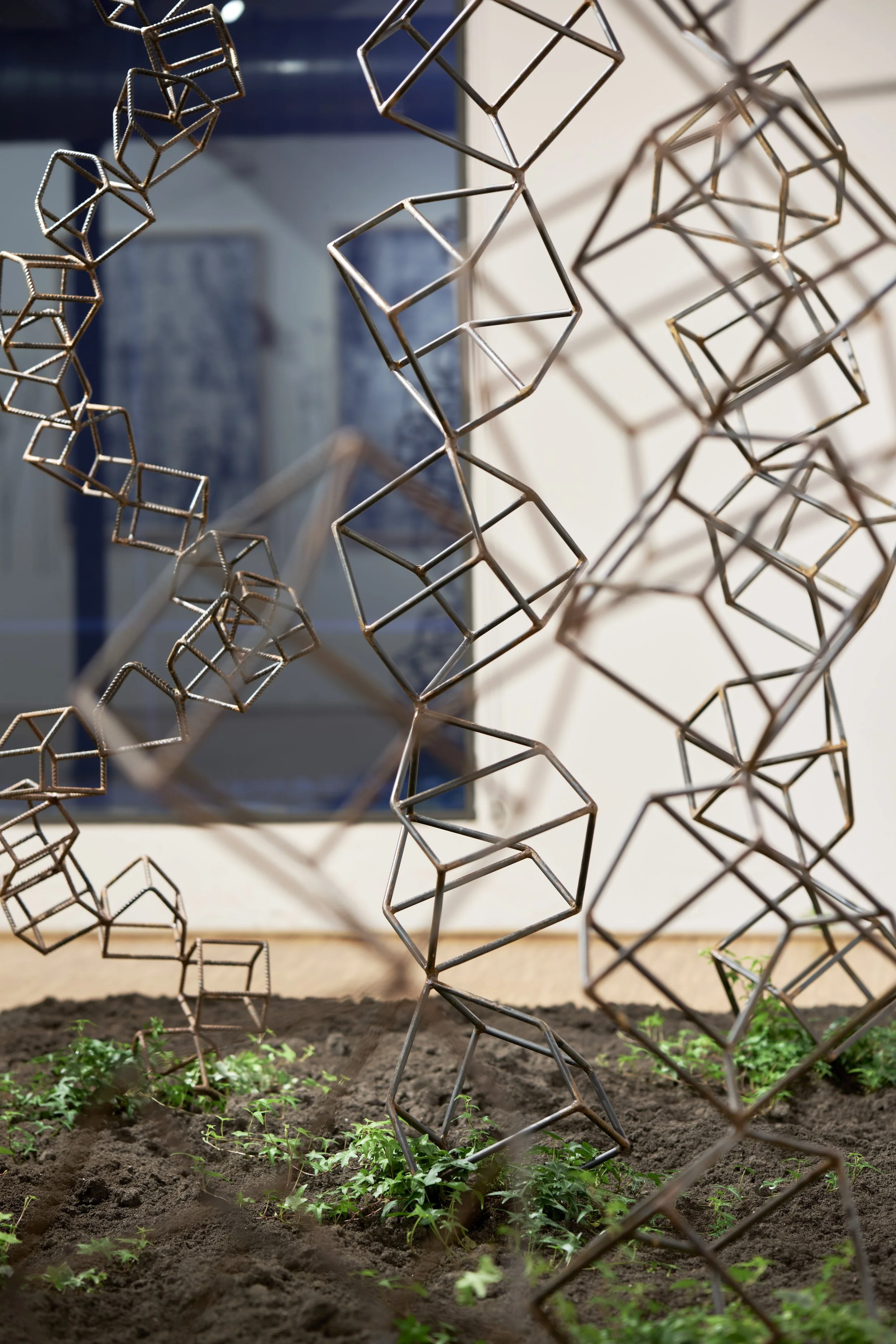 KOMOREBI_mostra 53.jpg