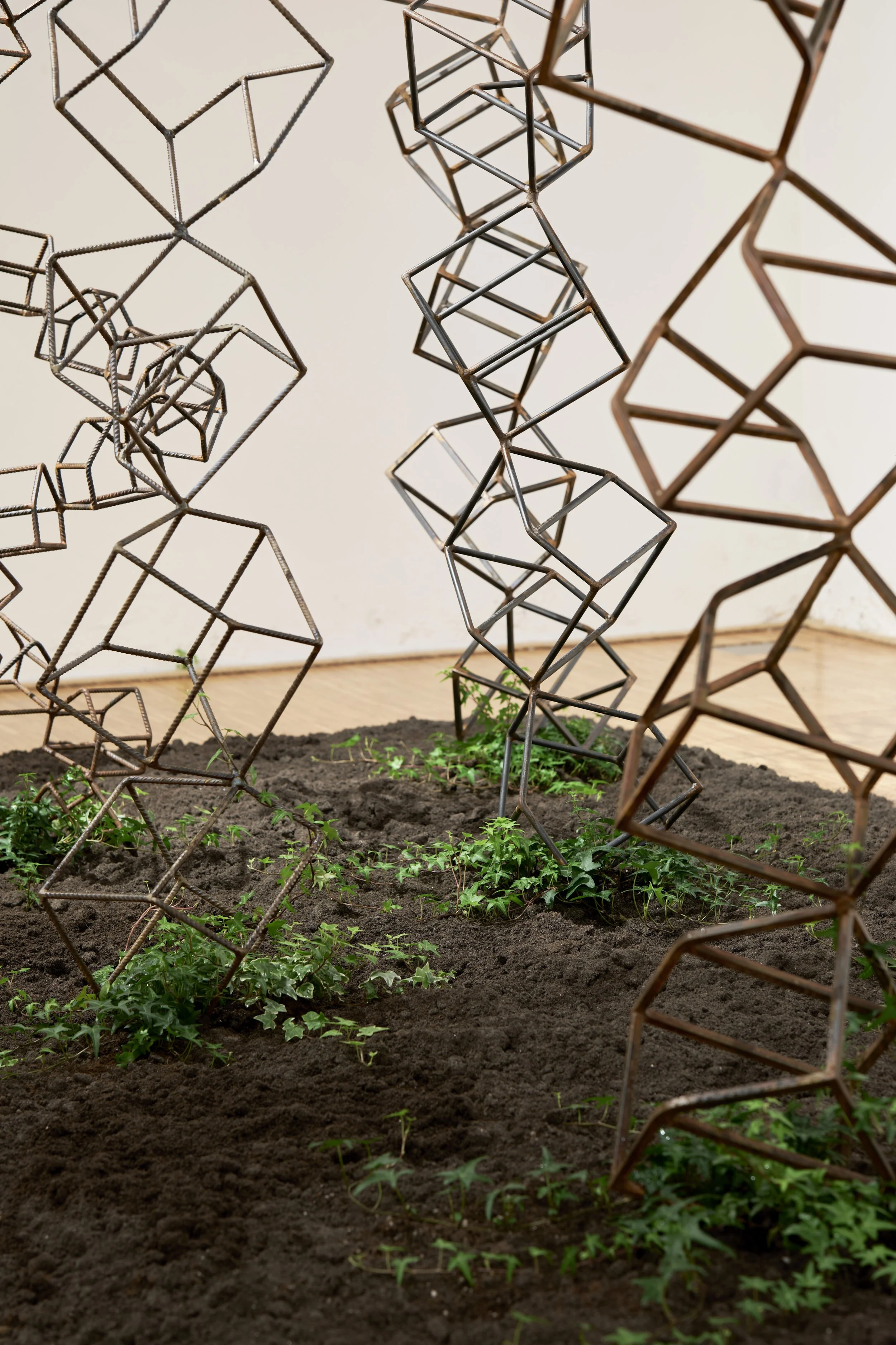 KOMOREBI_mostra 54.jpg