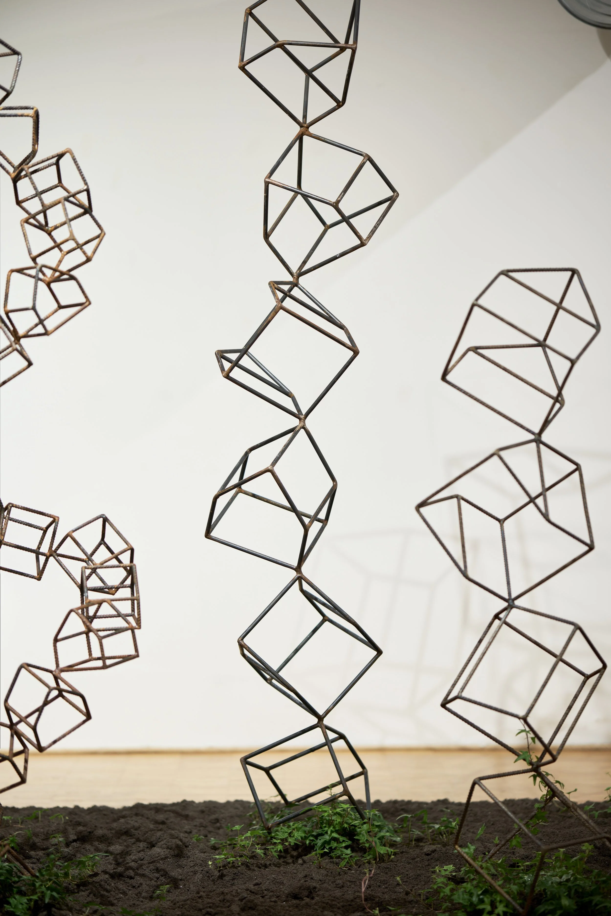 KOMOREBI_mostra 56.jpg