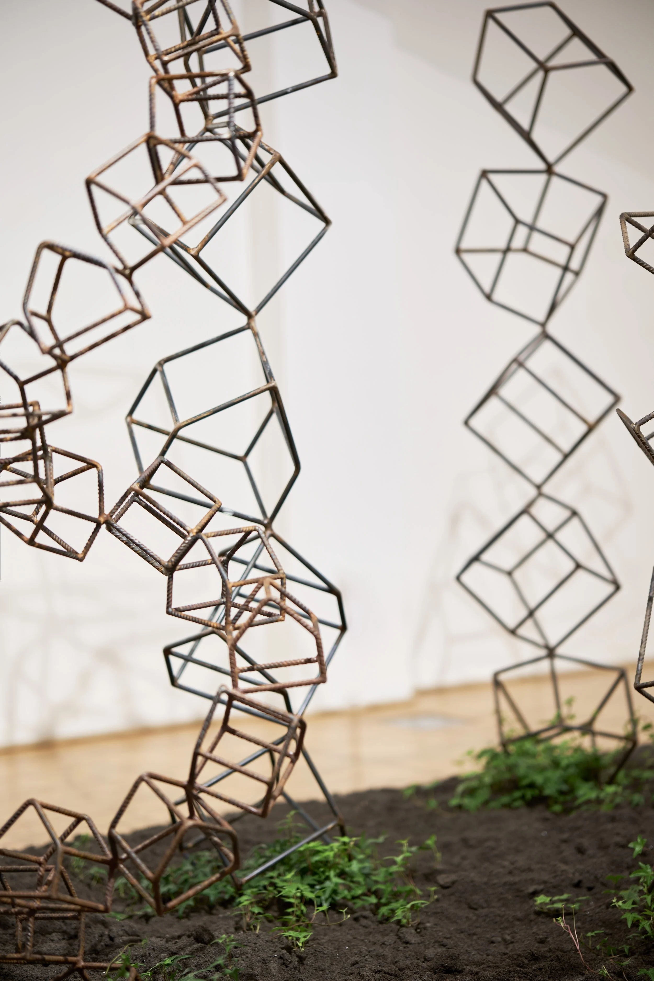 KOMOREBI_mostra 57.jpg