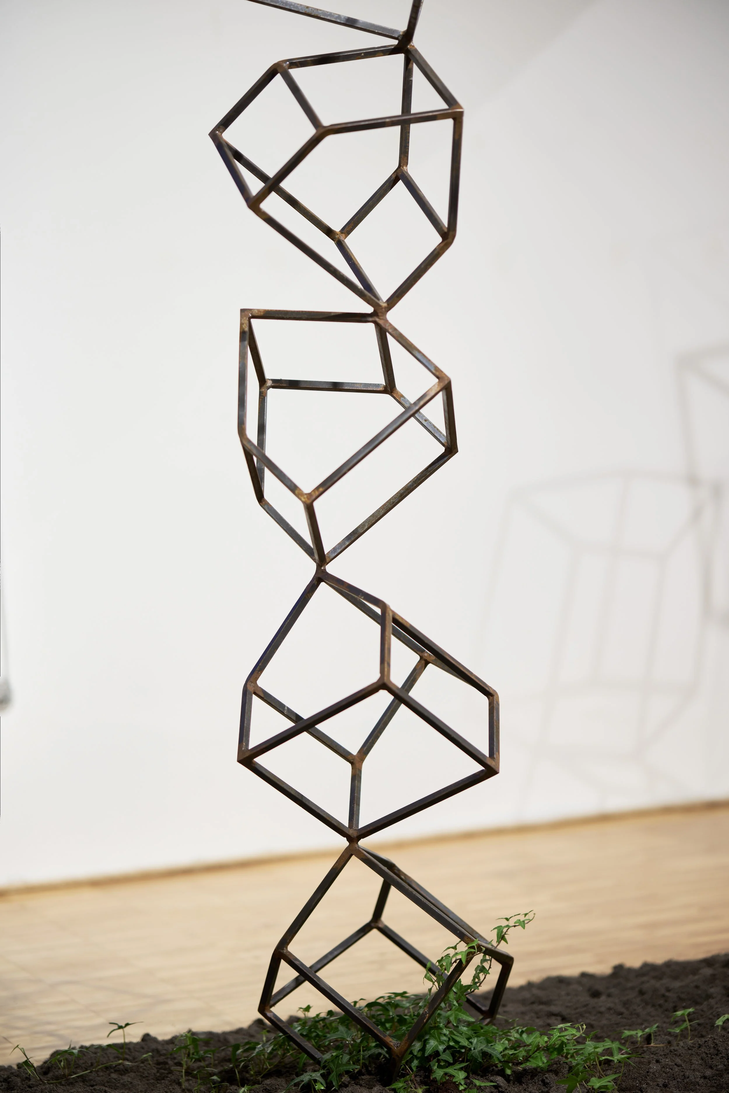 KOMOREBI_mostra 58.jpg