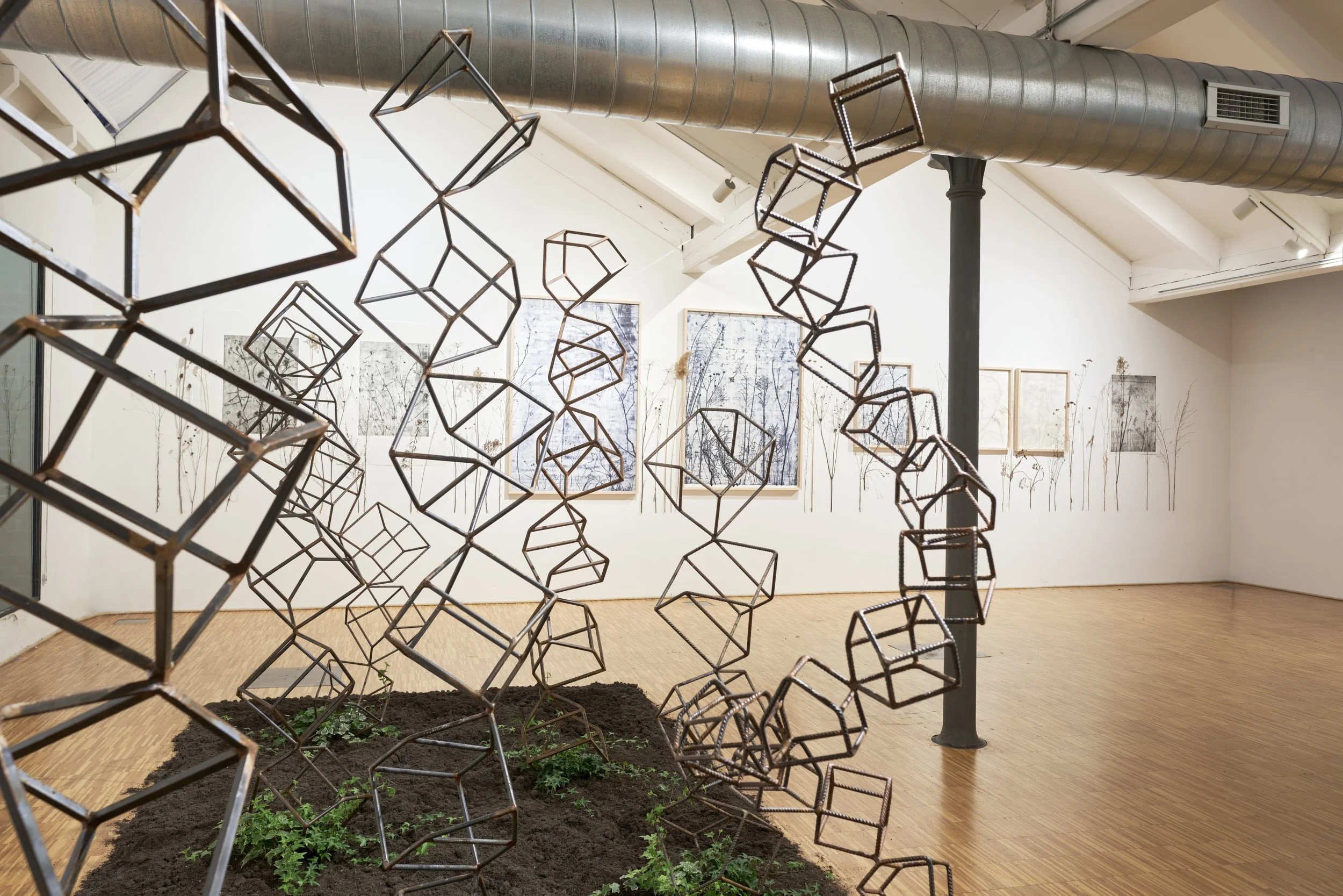 KOMOREBI_mostra 60.jpg