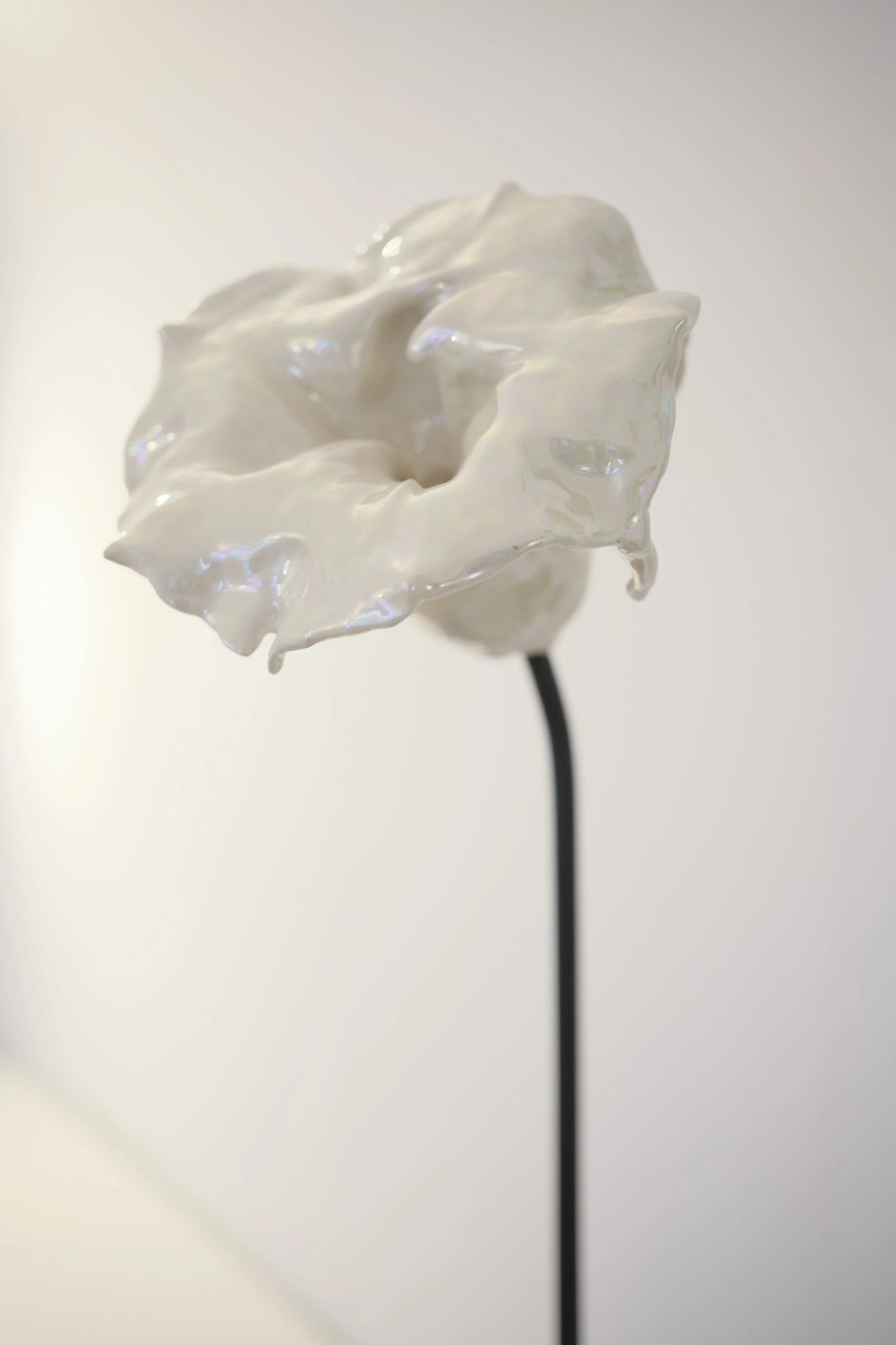 KOMOREBI_mostra 89.jpg