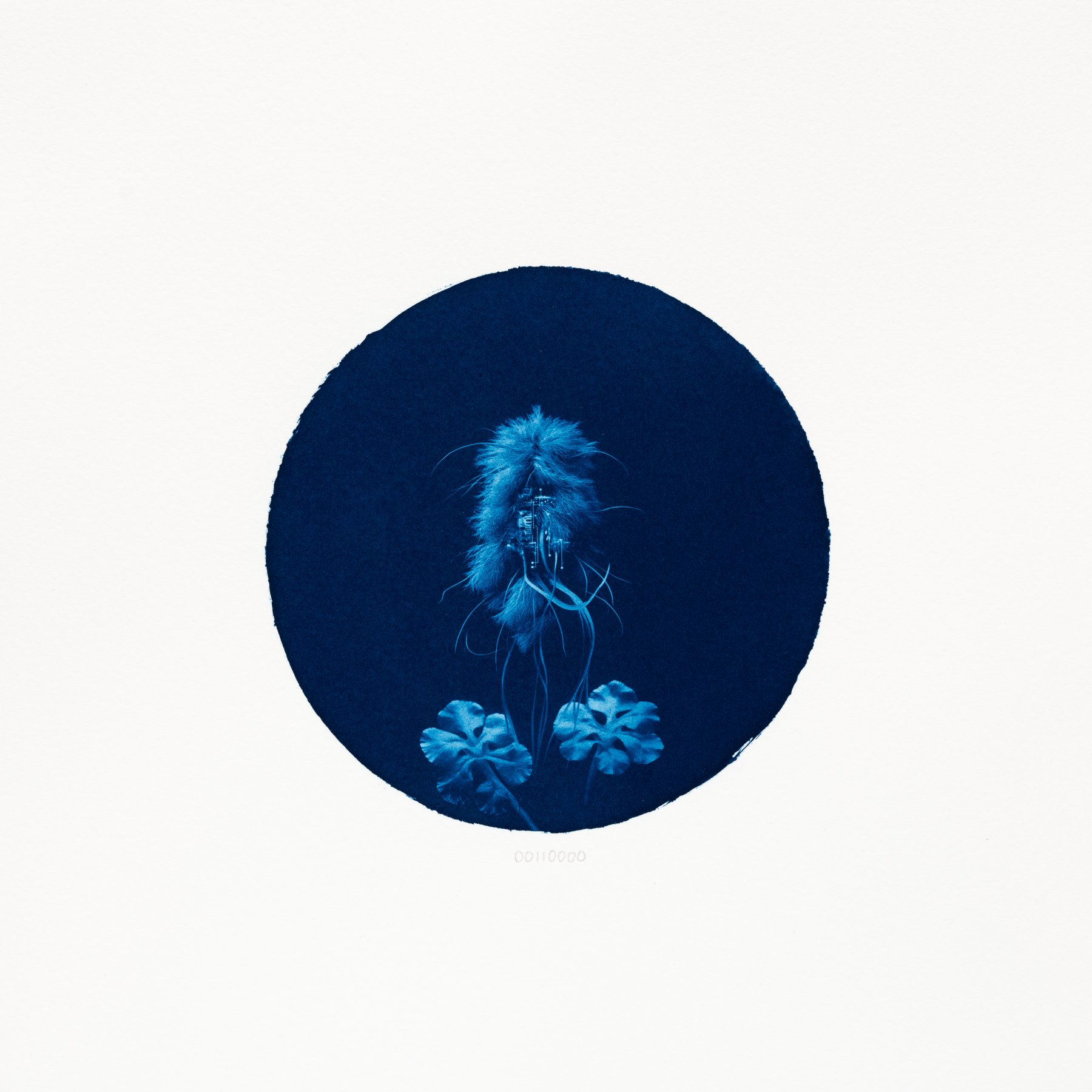 00110000 - Computaria Pelosa.JPG