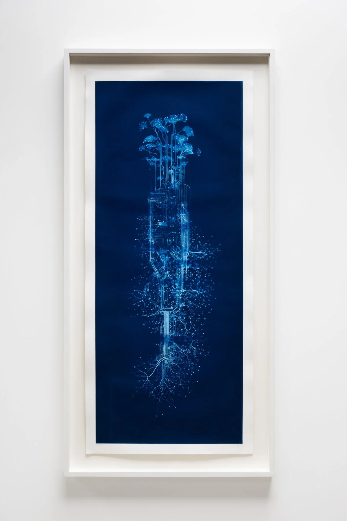 00110100-1 - Antemnaria radicans.JPG