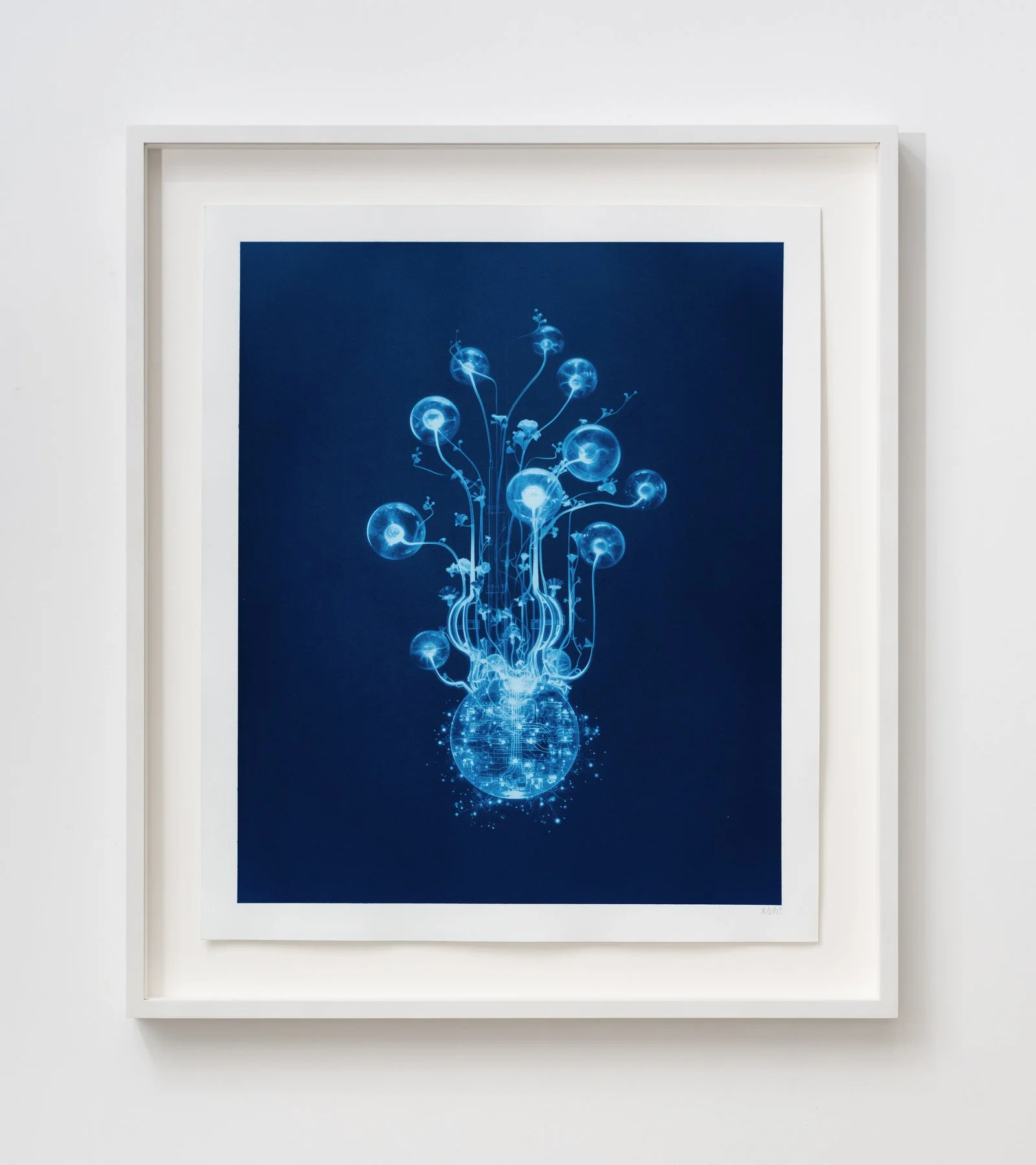 00101111 - Ampollaria plasmatica.JPG