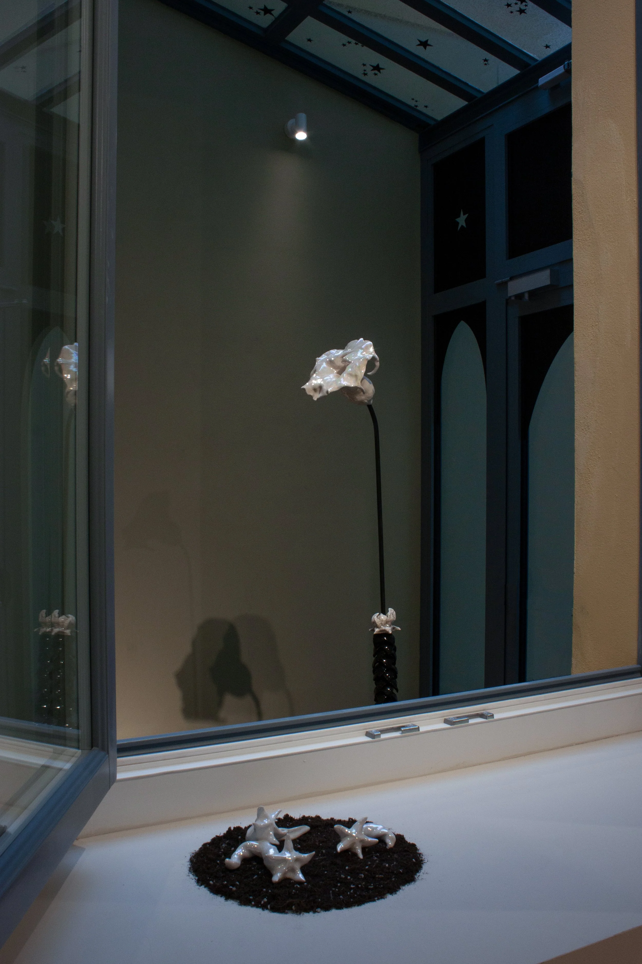 Stramonio (serie hortus nocturnus) 2024dettaglioFinestra_MCIOFFI_PremioPIni_.JPG