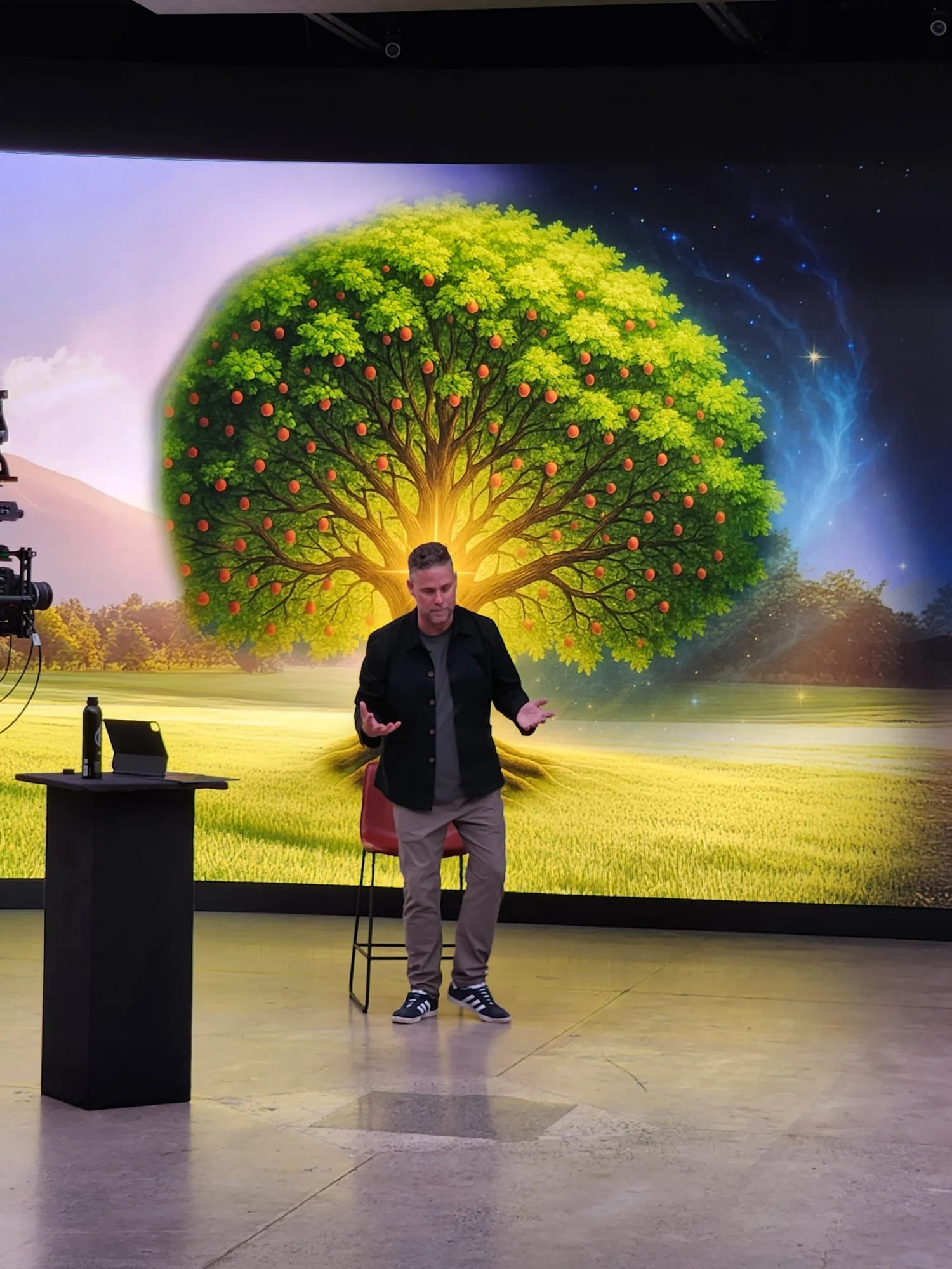 WhatsApp Image 2025-05-29 at 18.50.53.jpeg