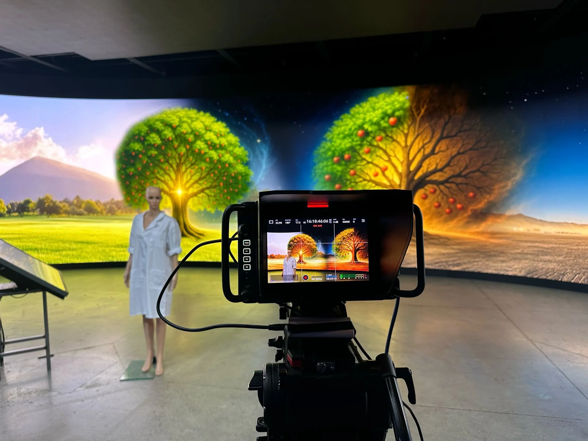 WhatsApp Image 2025-05-29 at 18.52.49.jpeg