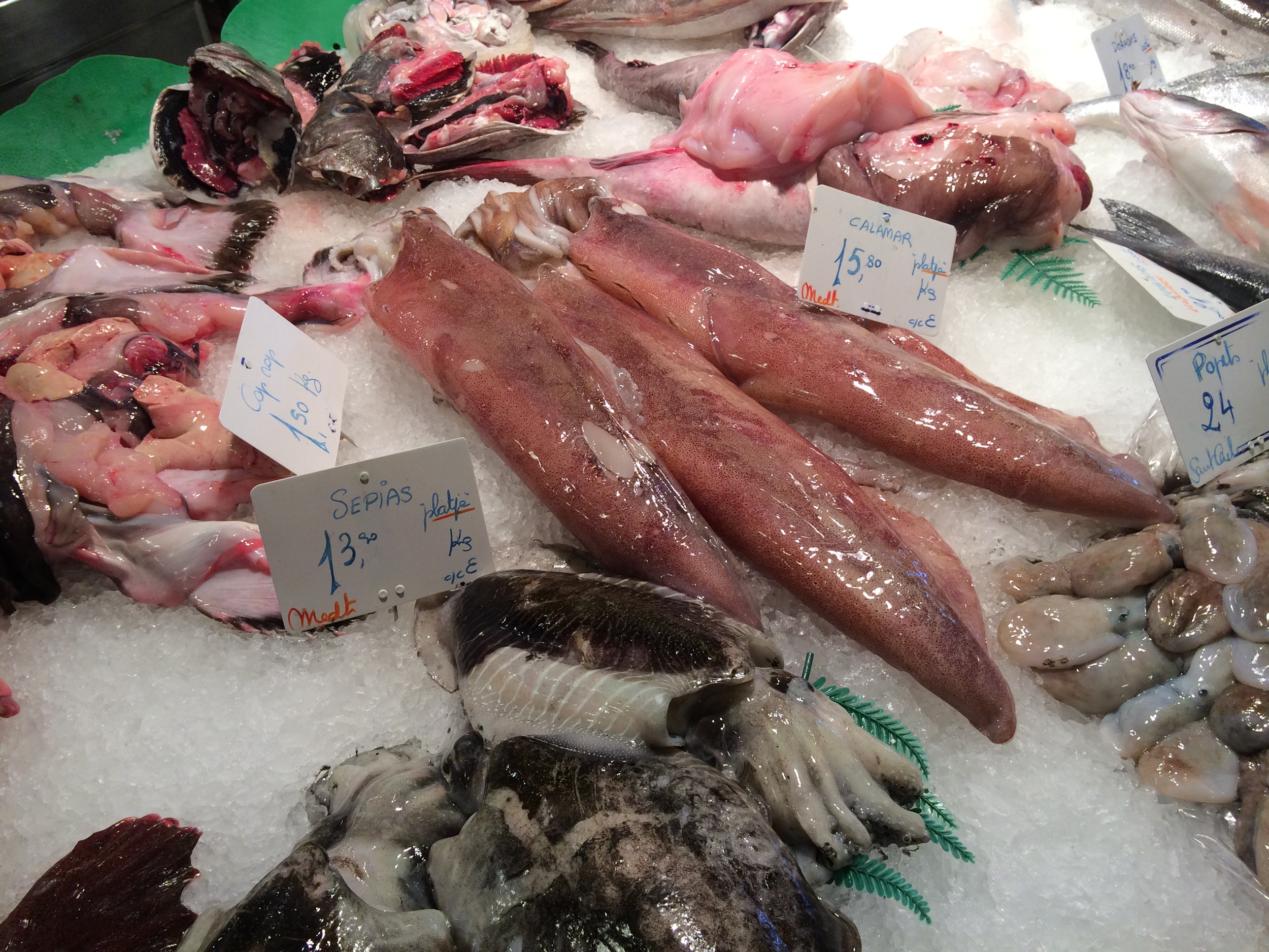 Seafood at La Boqueria--I've never seen some of these types of fish before!
