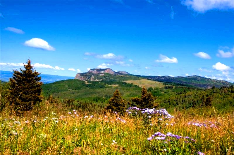 Gorgeous summer landscape of New Mexico. 