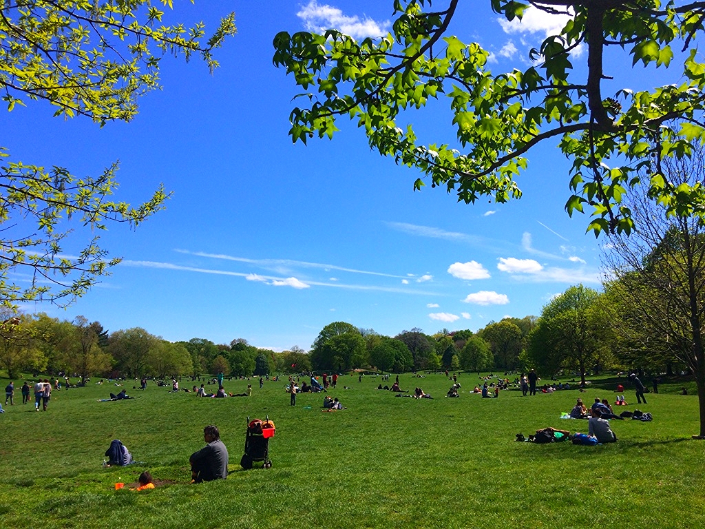 A lazy Sunday in Prospect Park.