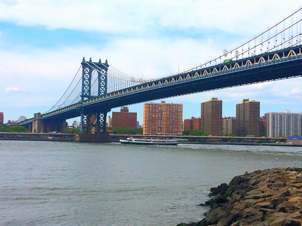 View from the Brooklyn Bridge Park.