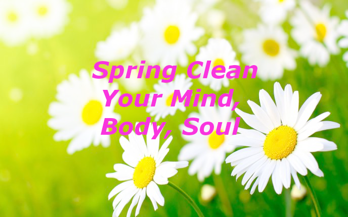5778_Garden-full-of-daisies-beautiful-spring-perfume.png