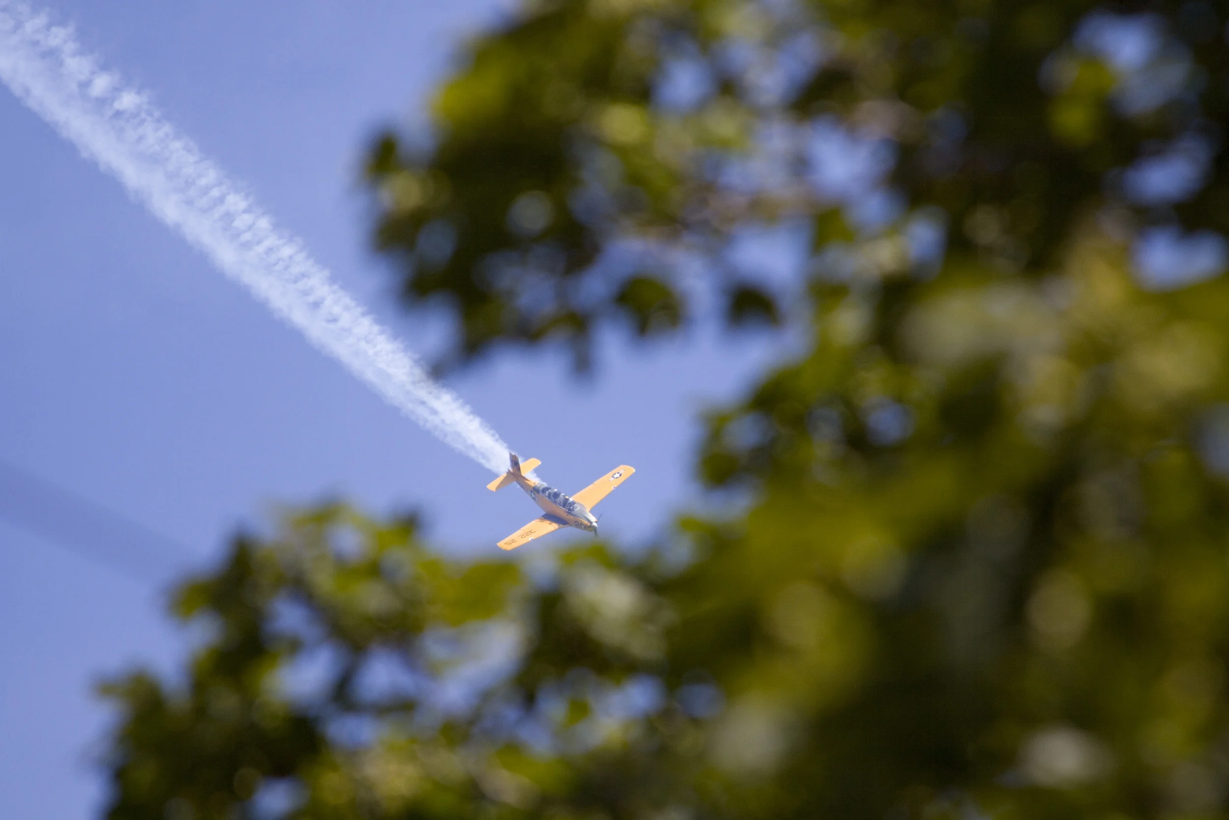 Air and Water 1.jpg