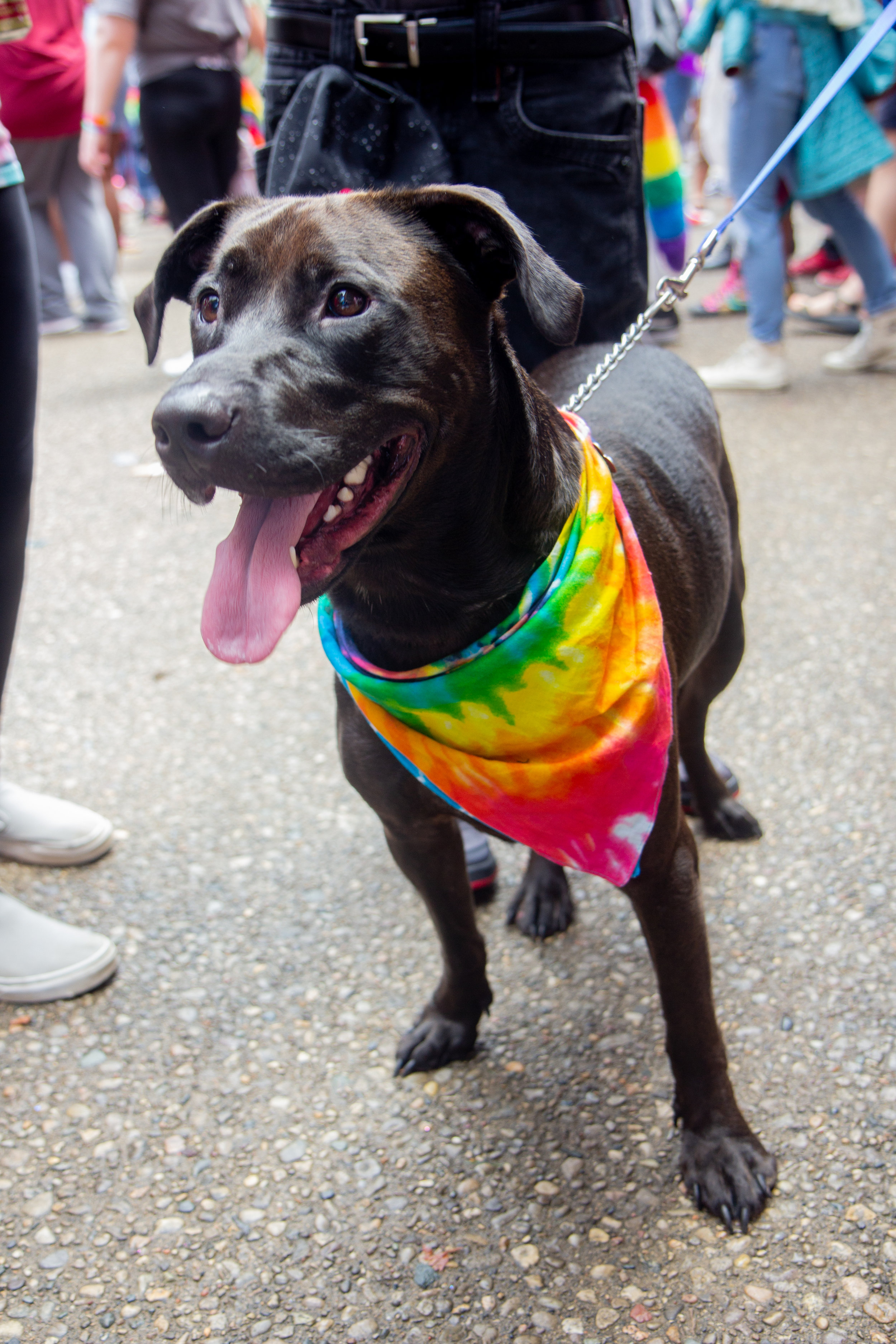 CaseyMillerPhoto - Pride - 2019 -193.jpg