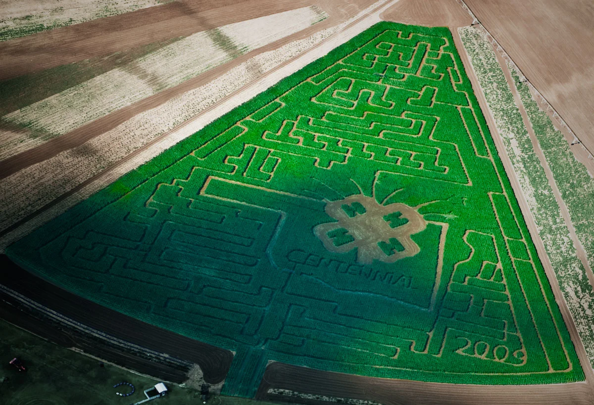 P Bar Farms the Corn Maze