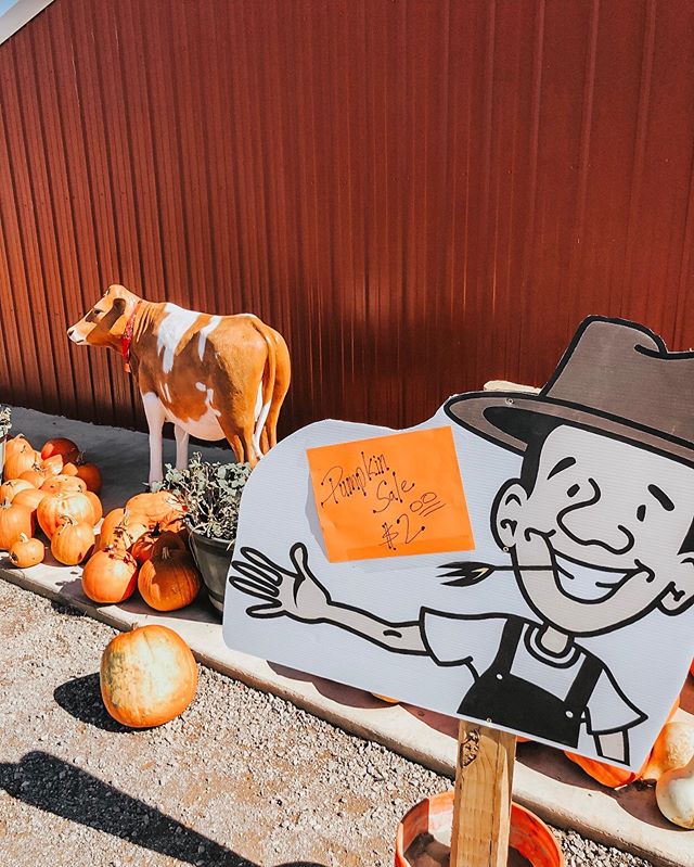 Have you heard? Farmer Bill just announced a pumpkin 🎃 SALE! Come on out and enjoy our farm on this beautiful fall day and snag a few extra pumpkins on your way out!