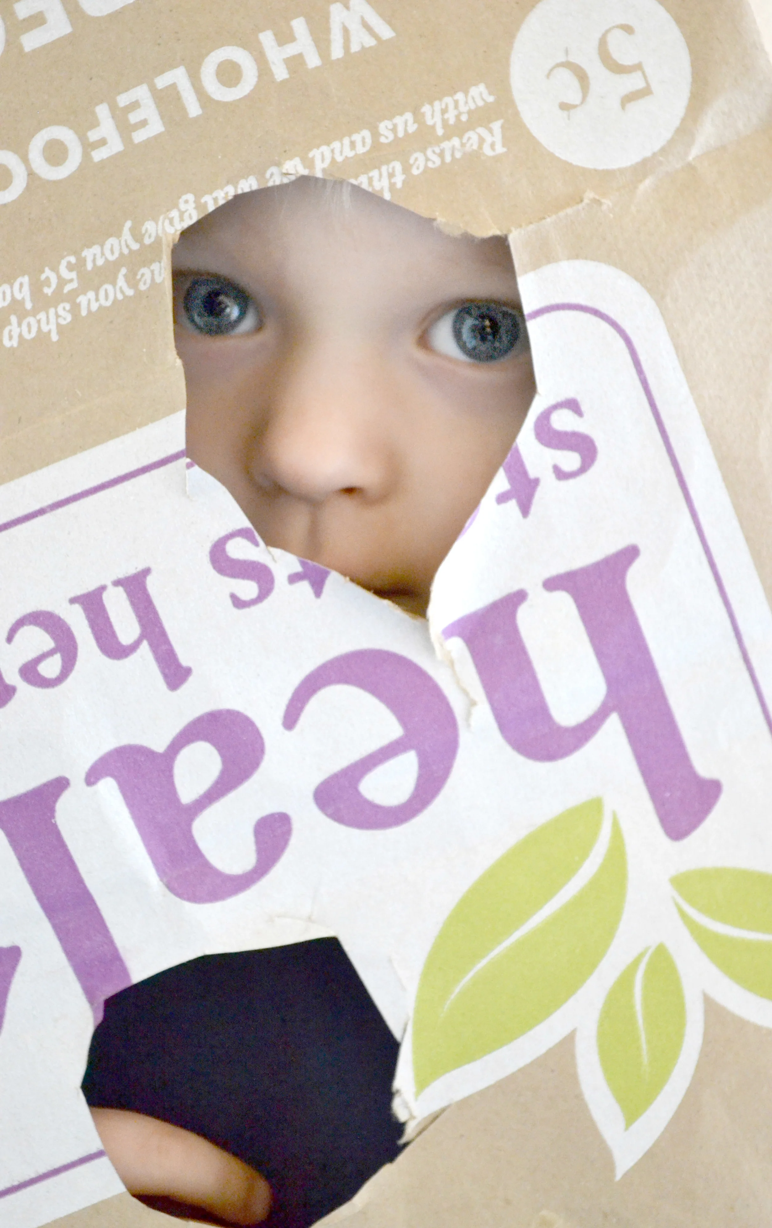 WF Bag 04.jpg