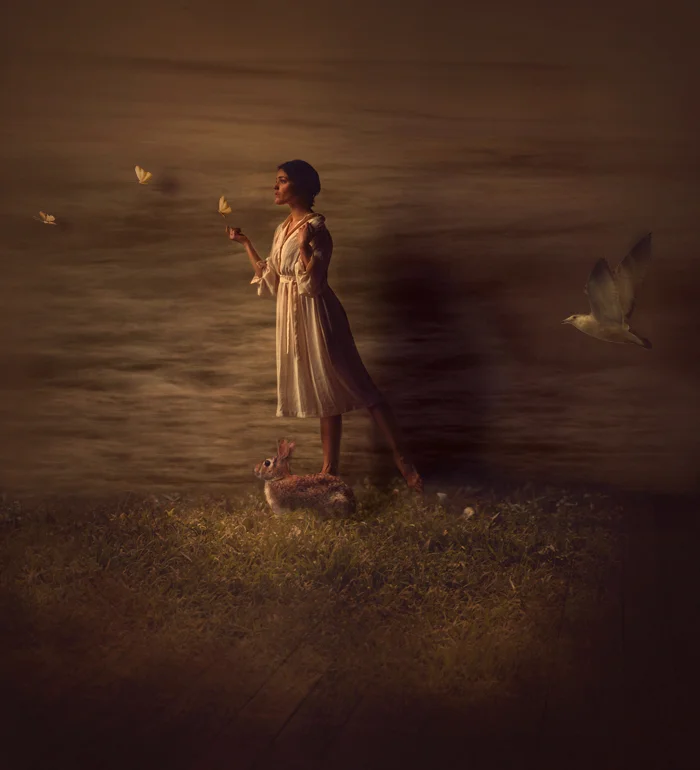 2 - Imaginarium.jpg