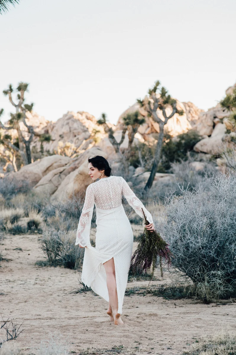 joshuatree.jpg
