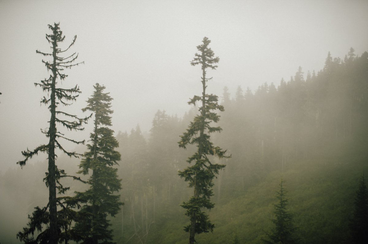 Moody Whistler wedding
