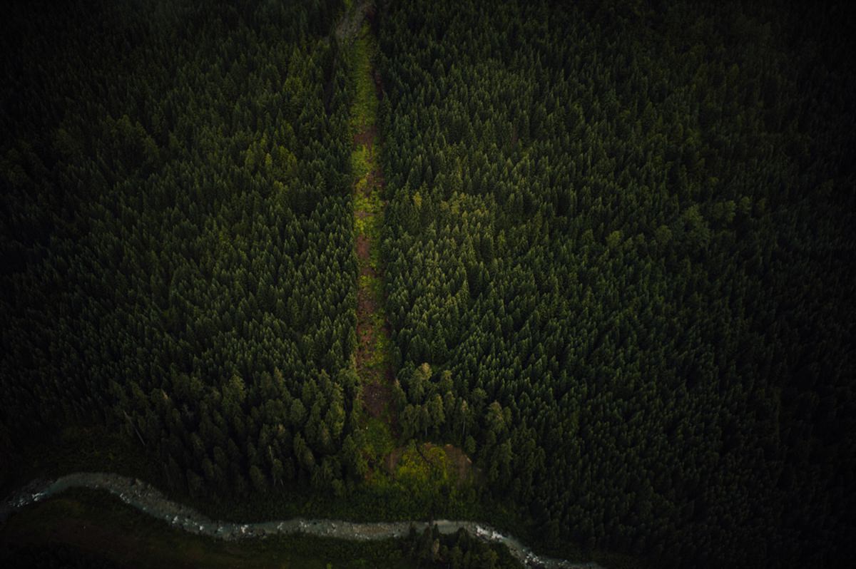 Blackcomb landscape