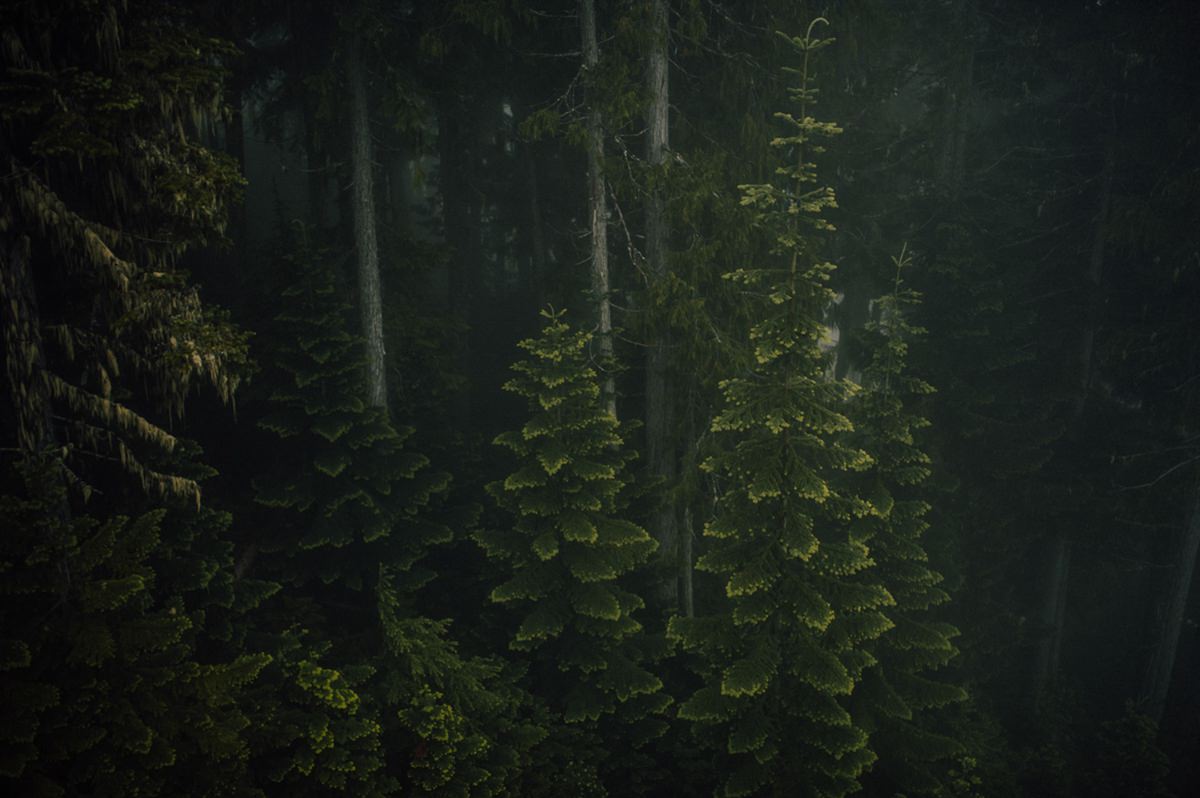 Outdoor Blackcomb wedding