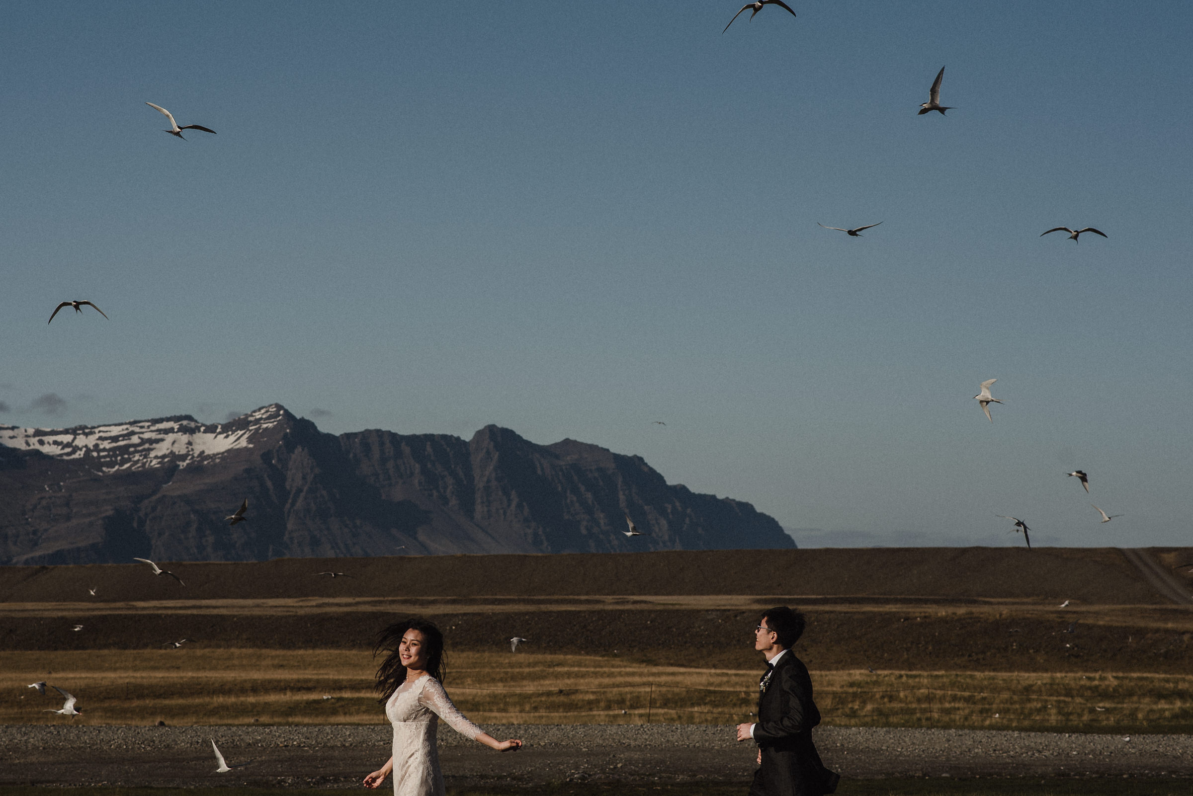 birds flying iceland wedding