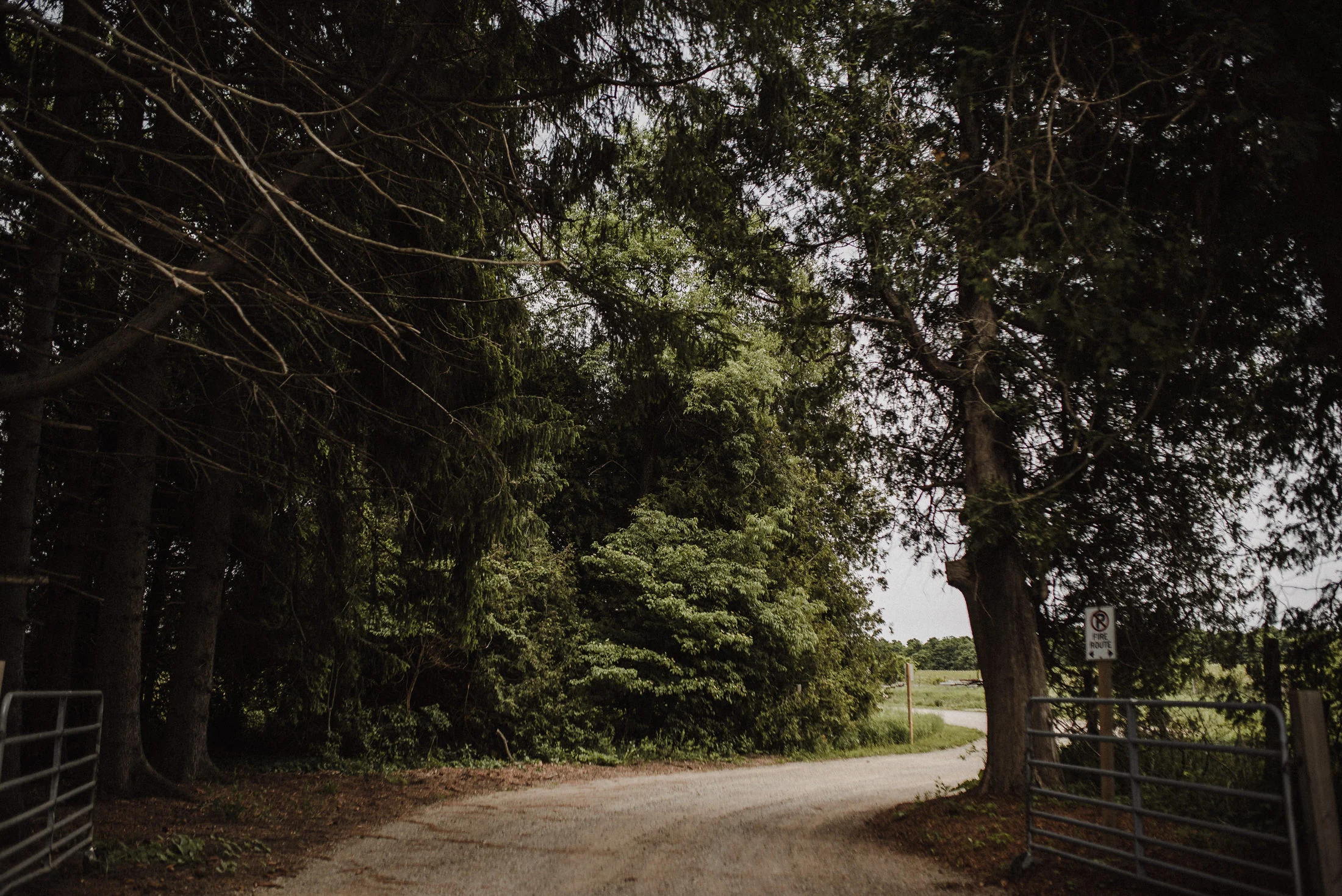 cambium farms wedding