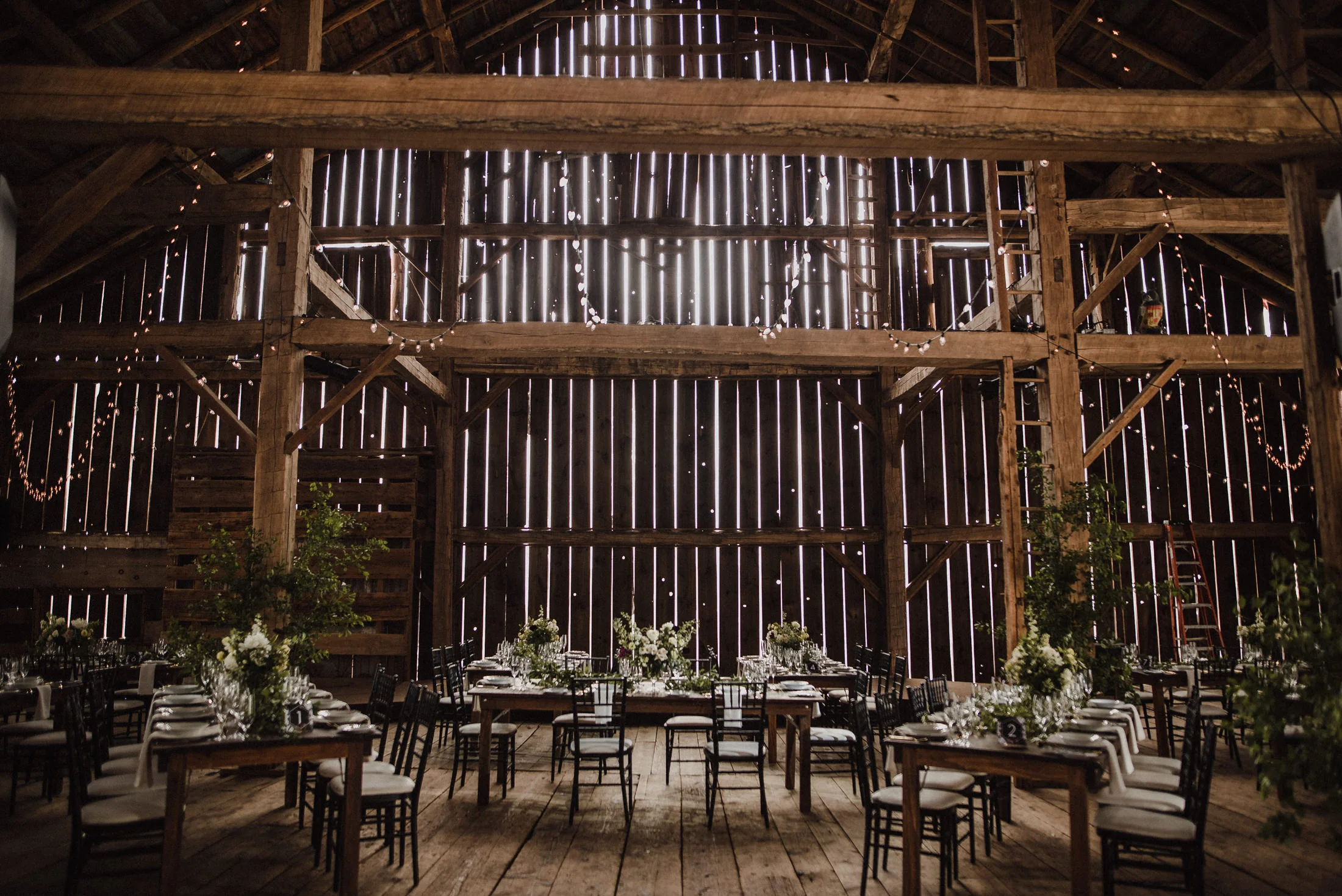 cambium farms