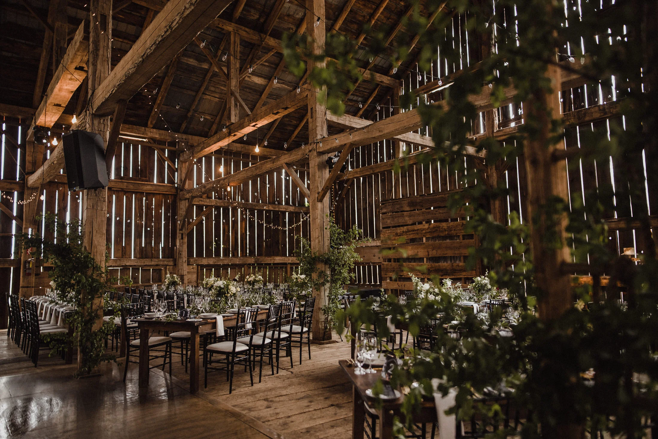 cambium farms