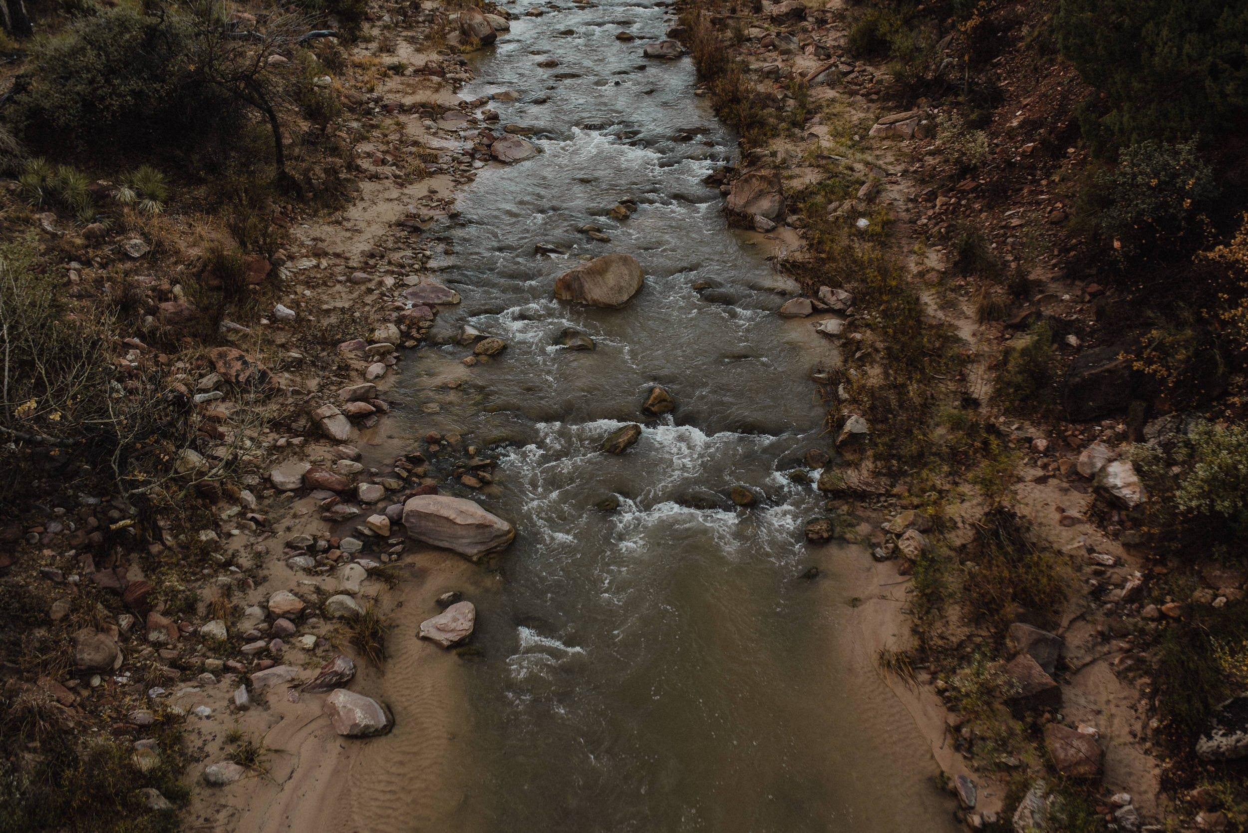 zion national park 