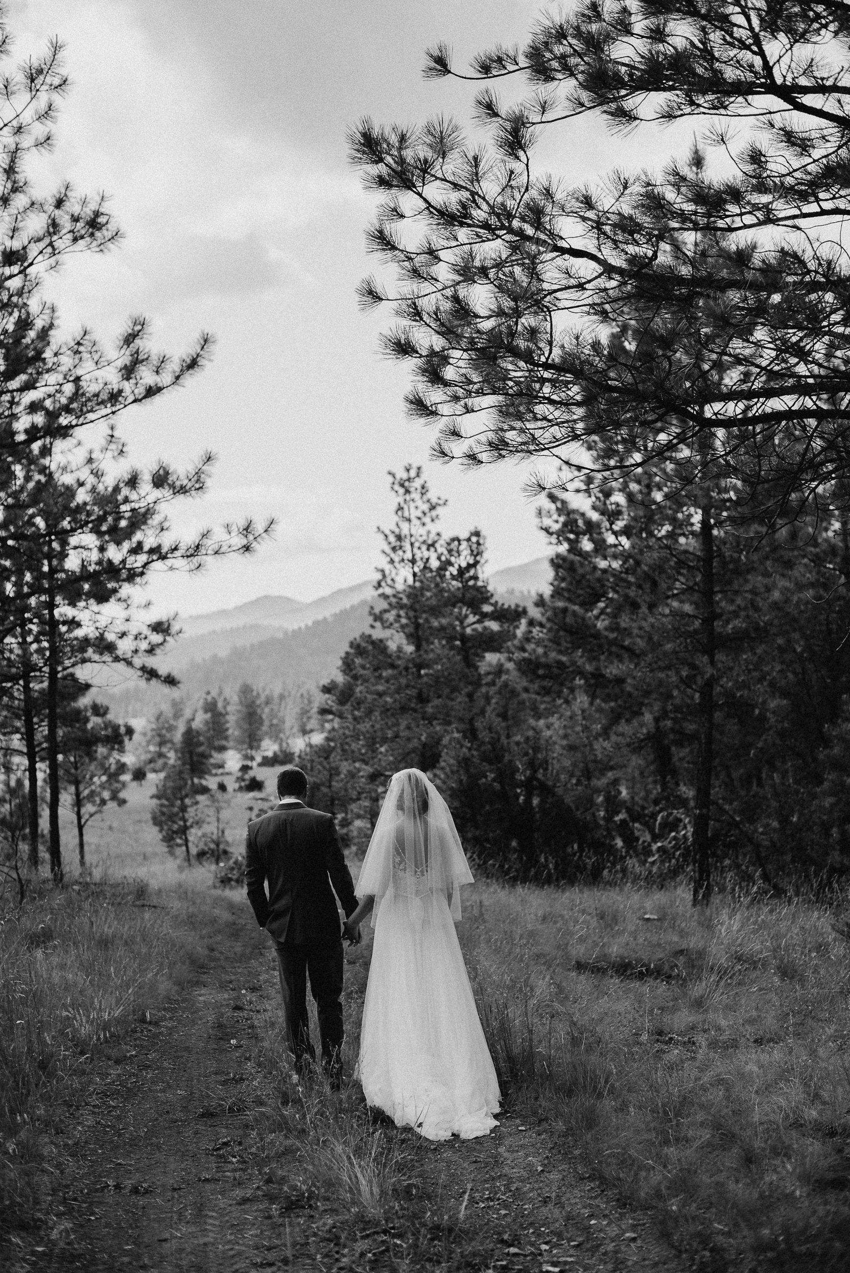 Helena Wedding Photography