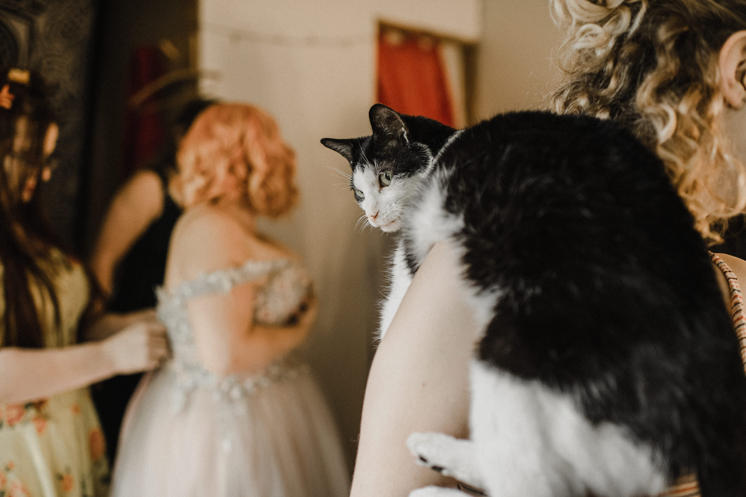 documentary style wedding photography