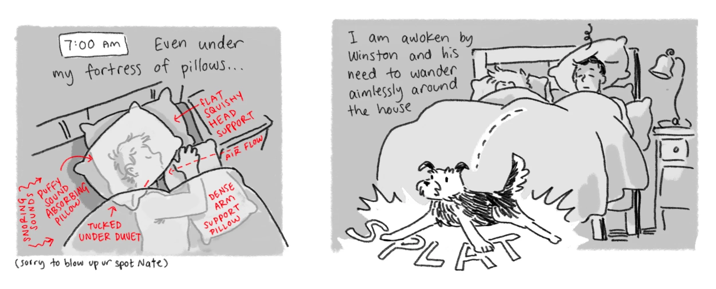 Screenshot 2026-02-08 at 1.59.24 PM 2.jpeg