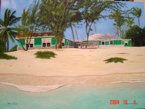 WHITE MAN IN BLUE HILLS, ACROSS FROM THE HOWELL'S 2004, My brother's address in Turks and Caicos when we sent him a Fedex package. SOLD Oil on canvas