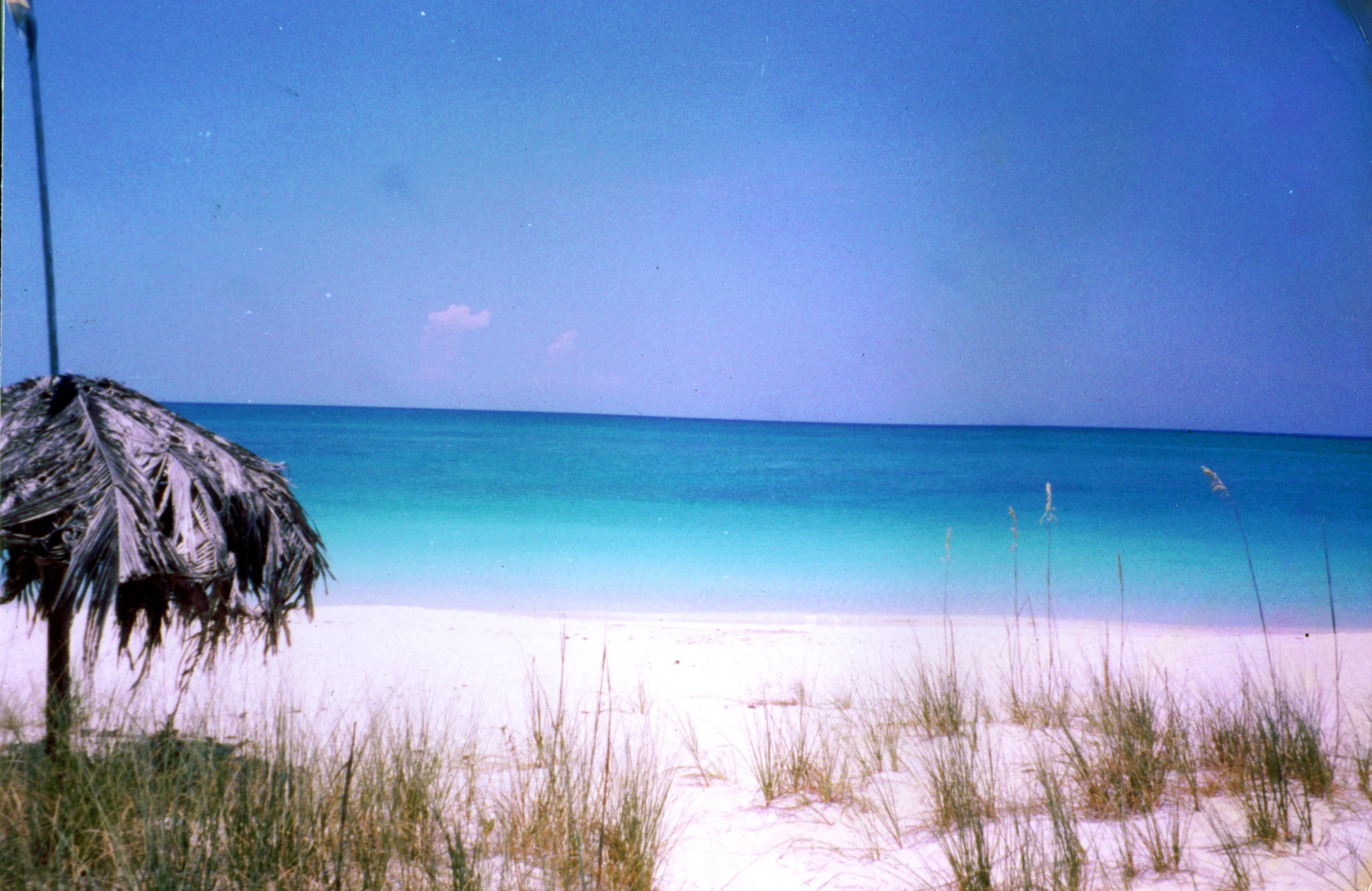 ip-old beach view.jpg