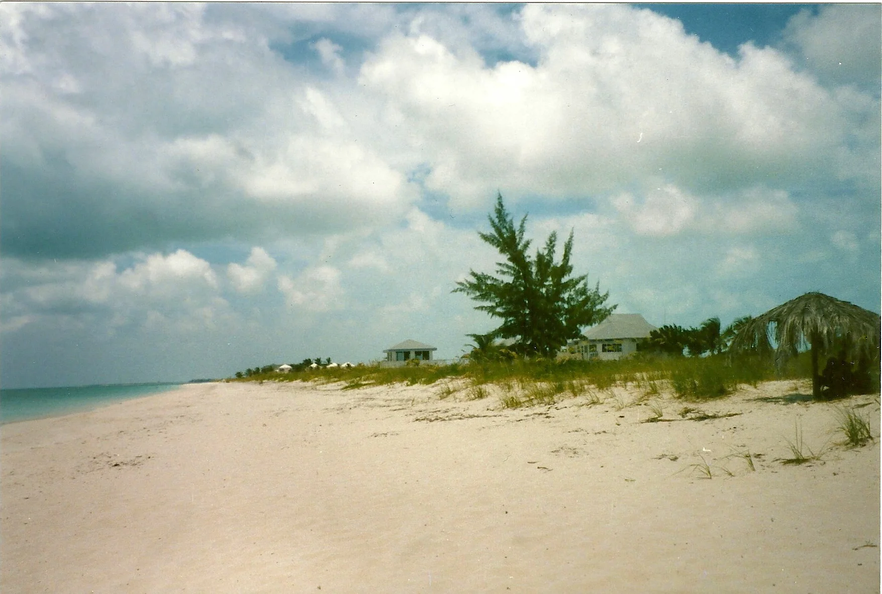 Scan 11.jpg