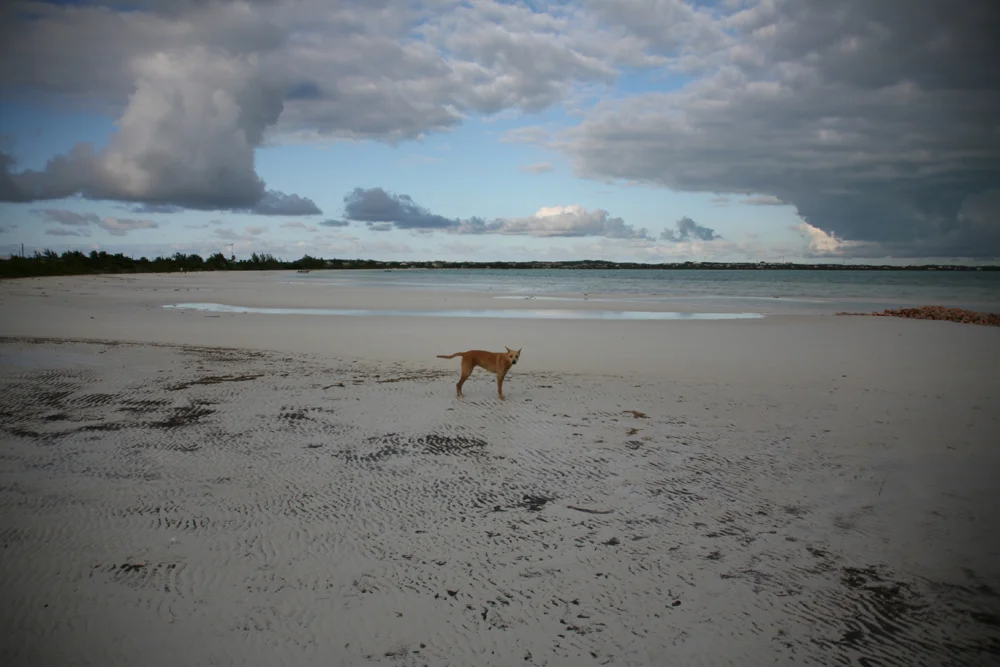 IMG_3839web.jpg
