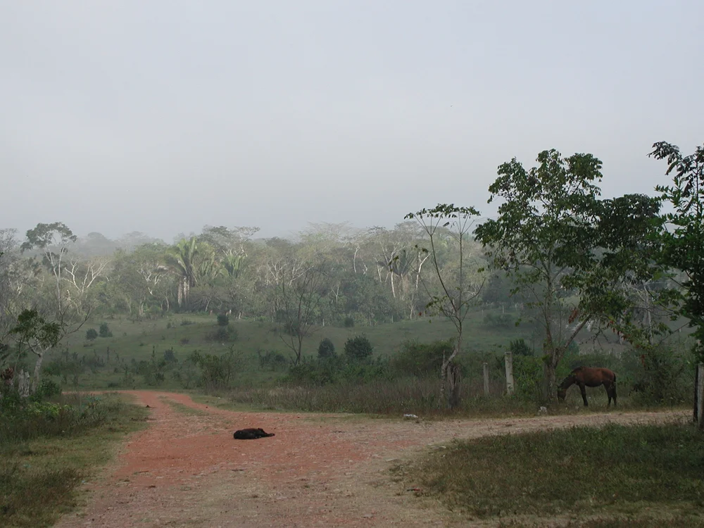 belize 092web.jpg