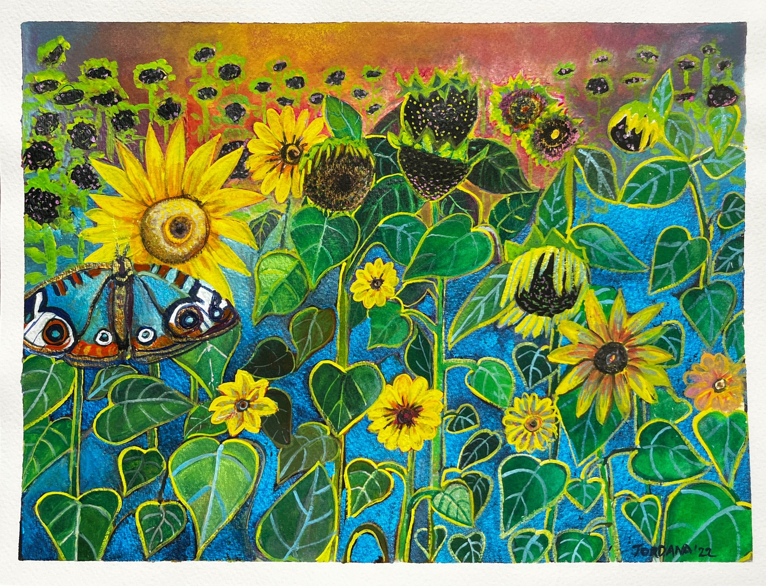 Sunflowers and the Hot Dry Summer #3