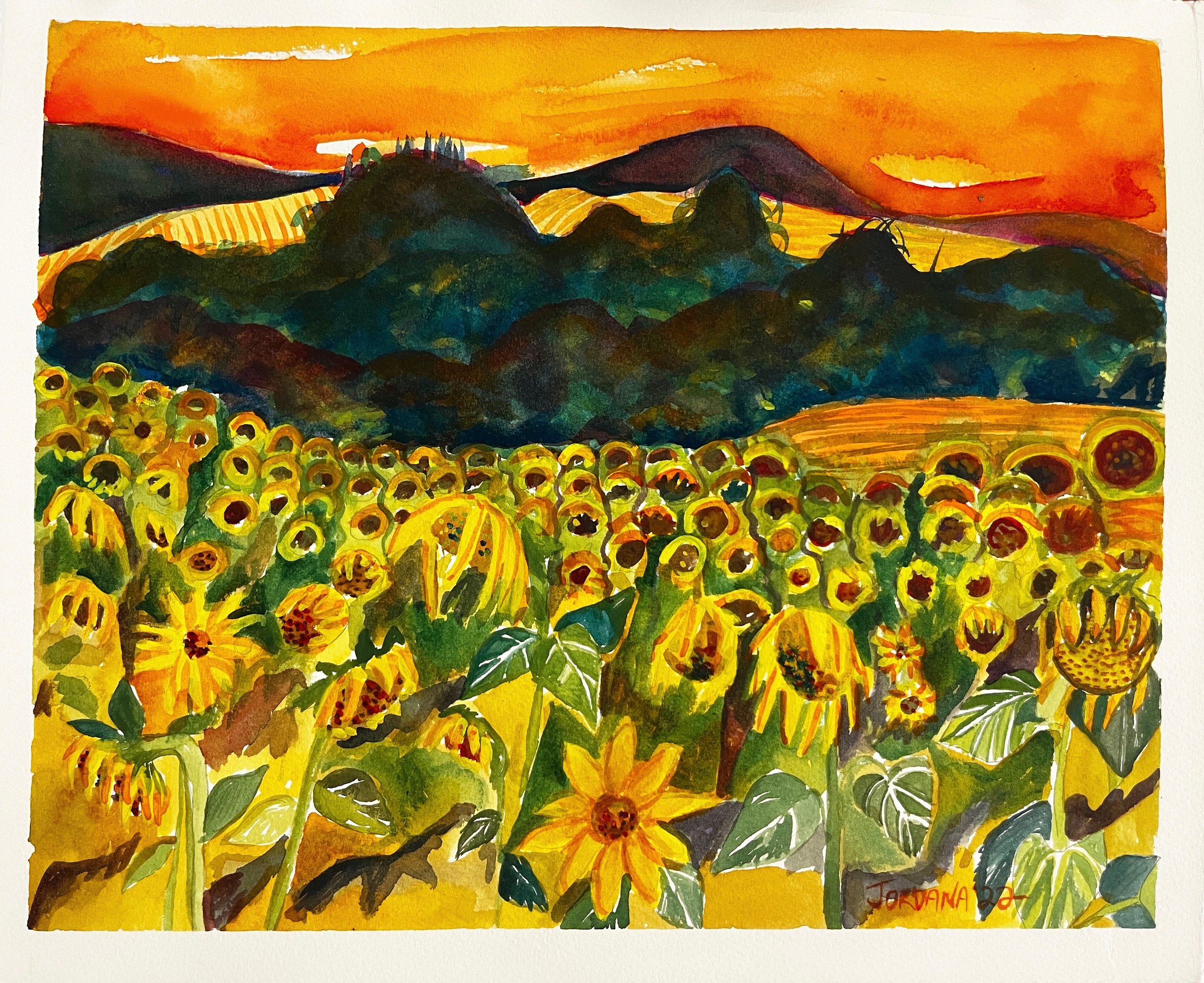 Sunflowers and the Hot Dry Summer #1