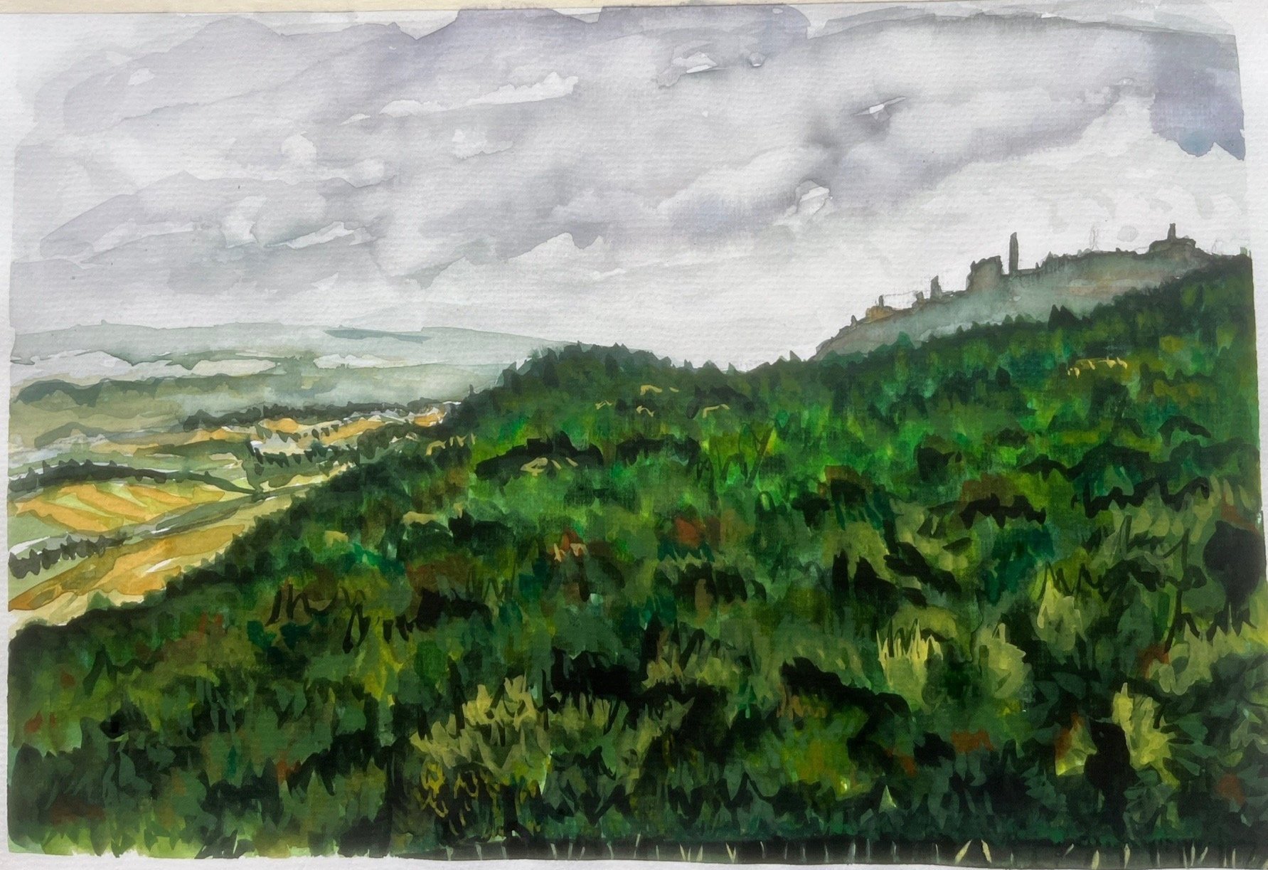 View of Montalcino Town