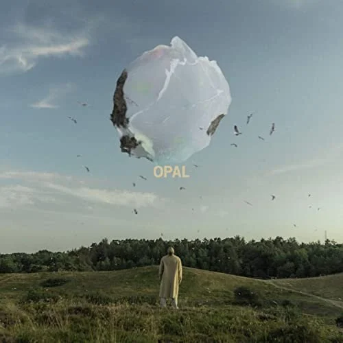 Snavs Opal.jpg
