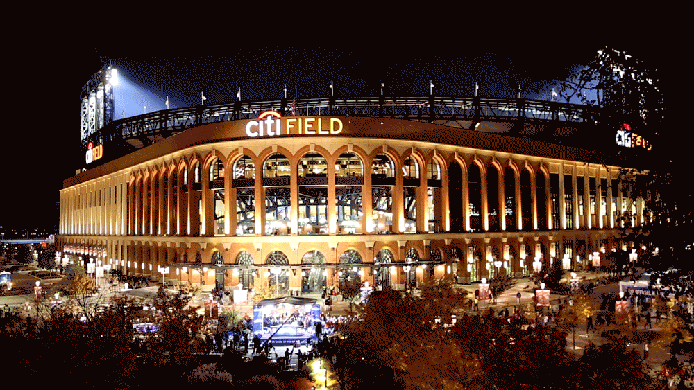 WS_Wide-Citi-Field.gif