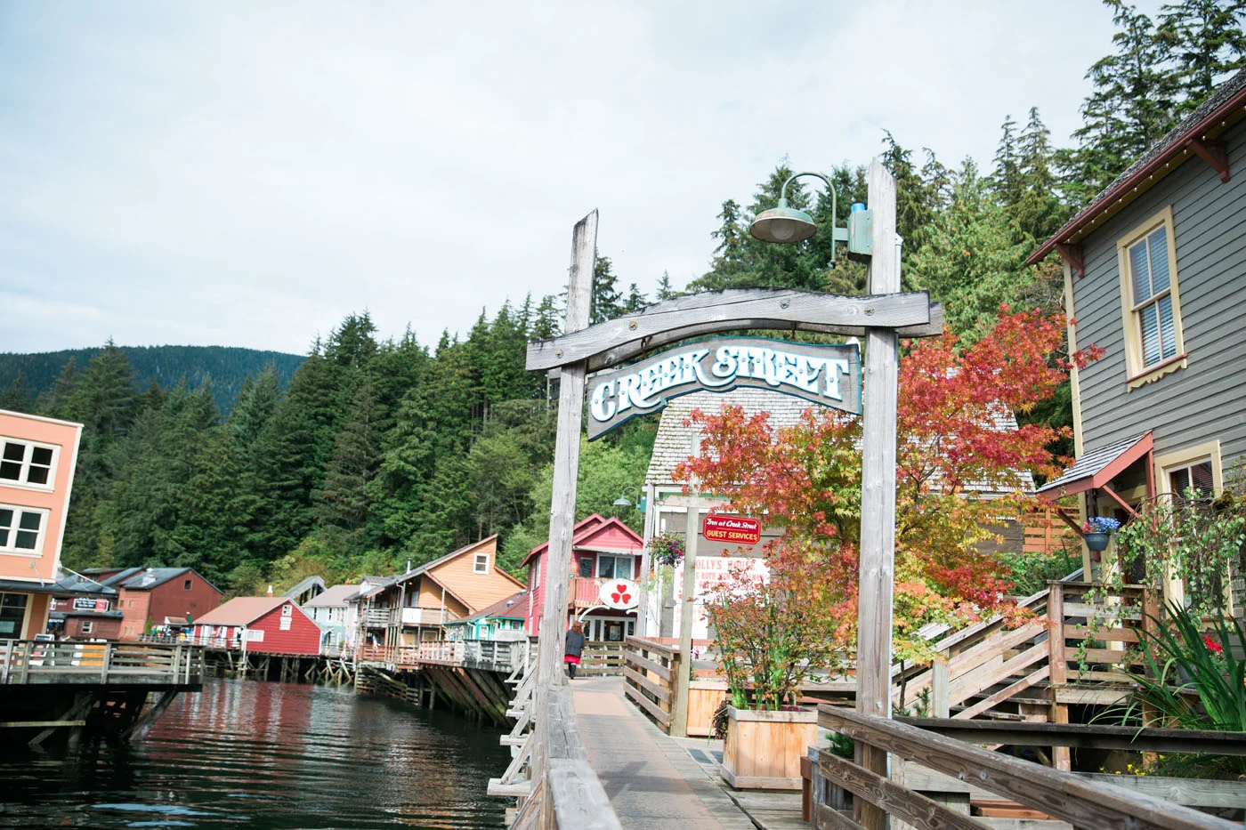 Creek Street was a former Red Light District where "both men and salmon swam upstream to spawn". Ya, no thanks. 