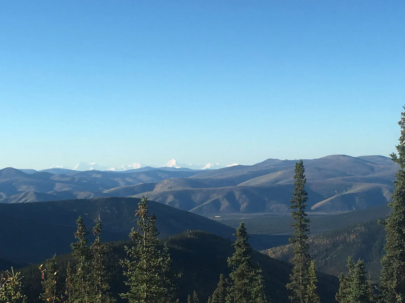 Can you see Denali in the distance? 