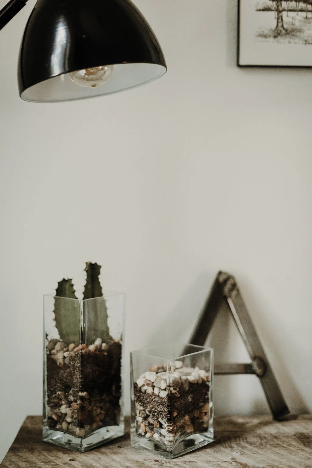 Idaho-photographer-inhome-engagement-session.jpg