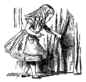 Transient
